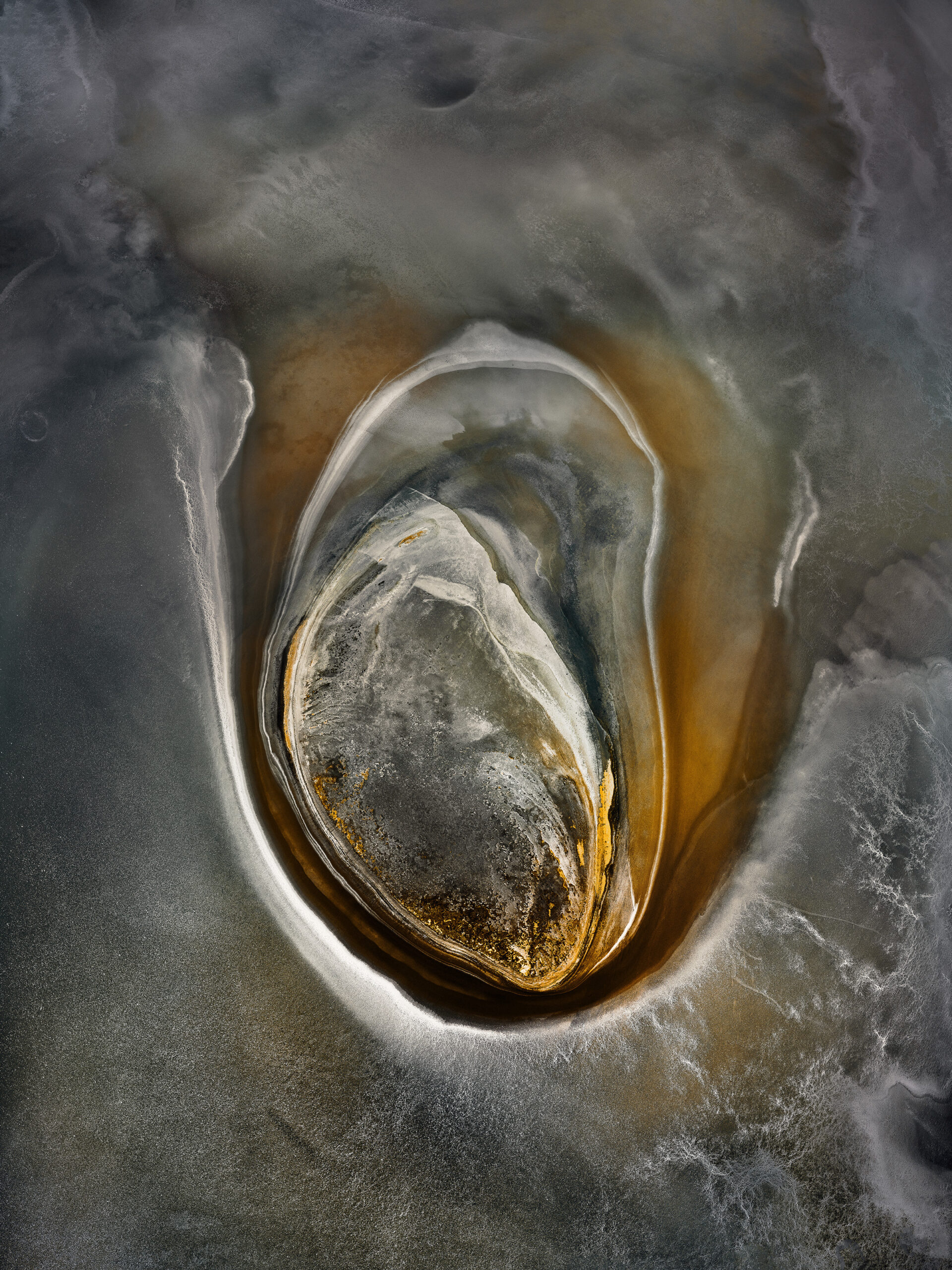 Fine Art 3