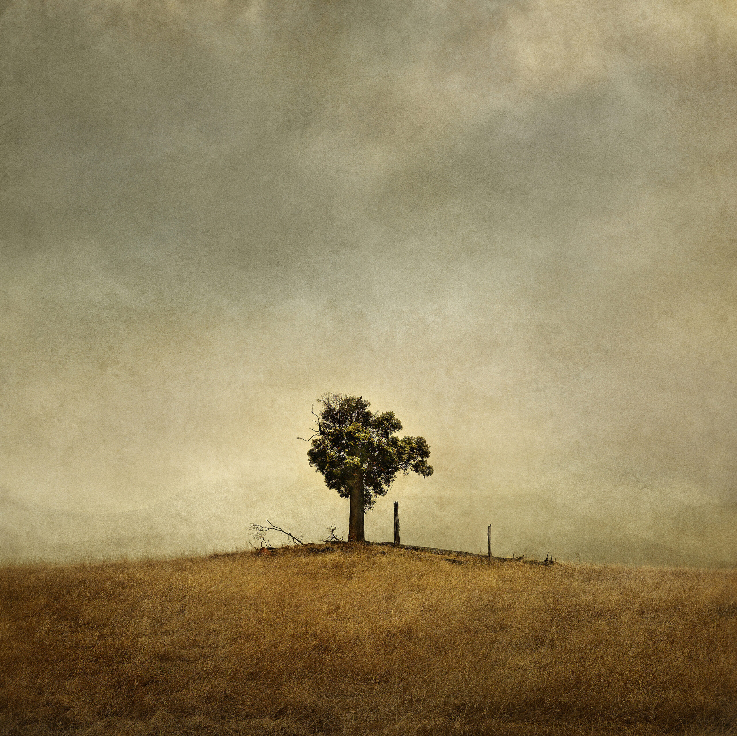 Landscapes 2